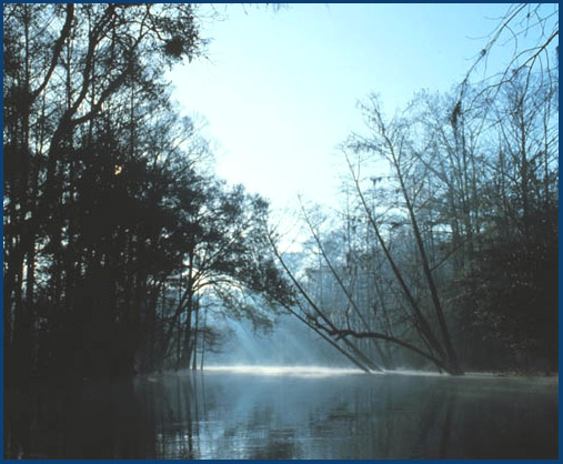Slideshow of various photos of The Withlacoochee River